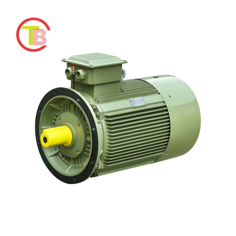Permanent magnet synchronous motor TYC