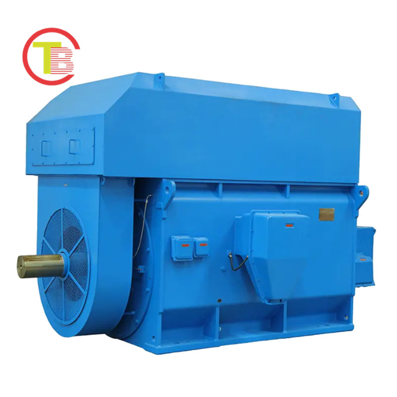 High-voltage Three-phase AC Motor
